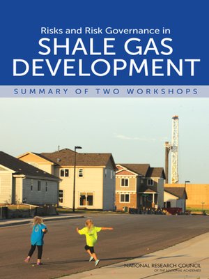 cover image of Risks and Risk Governance in Shale Gas Development